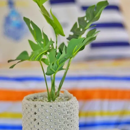 Апартаменти House - Da Rocha