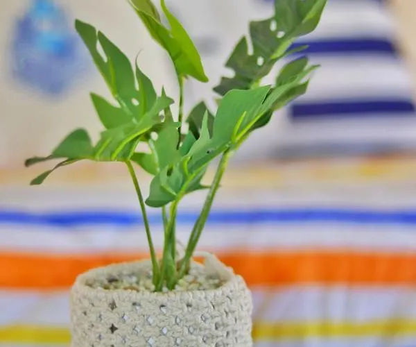 Appartement House - Da Rocha